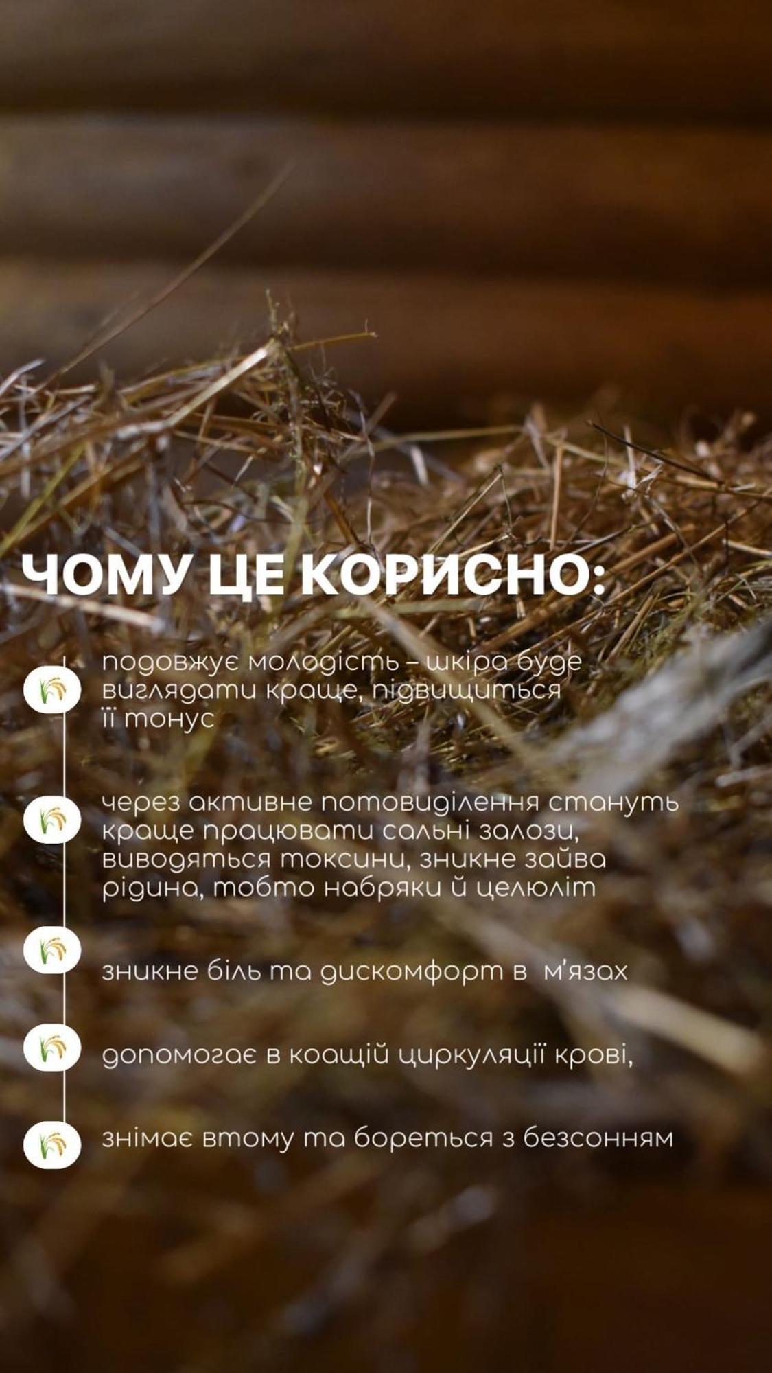 Отель Шиповець Poroshkovo Экстерьер фото
